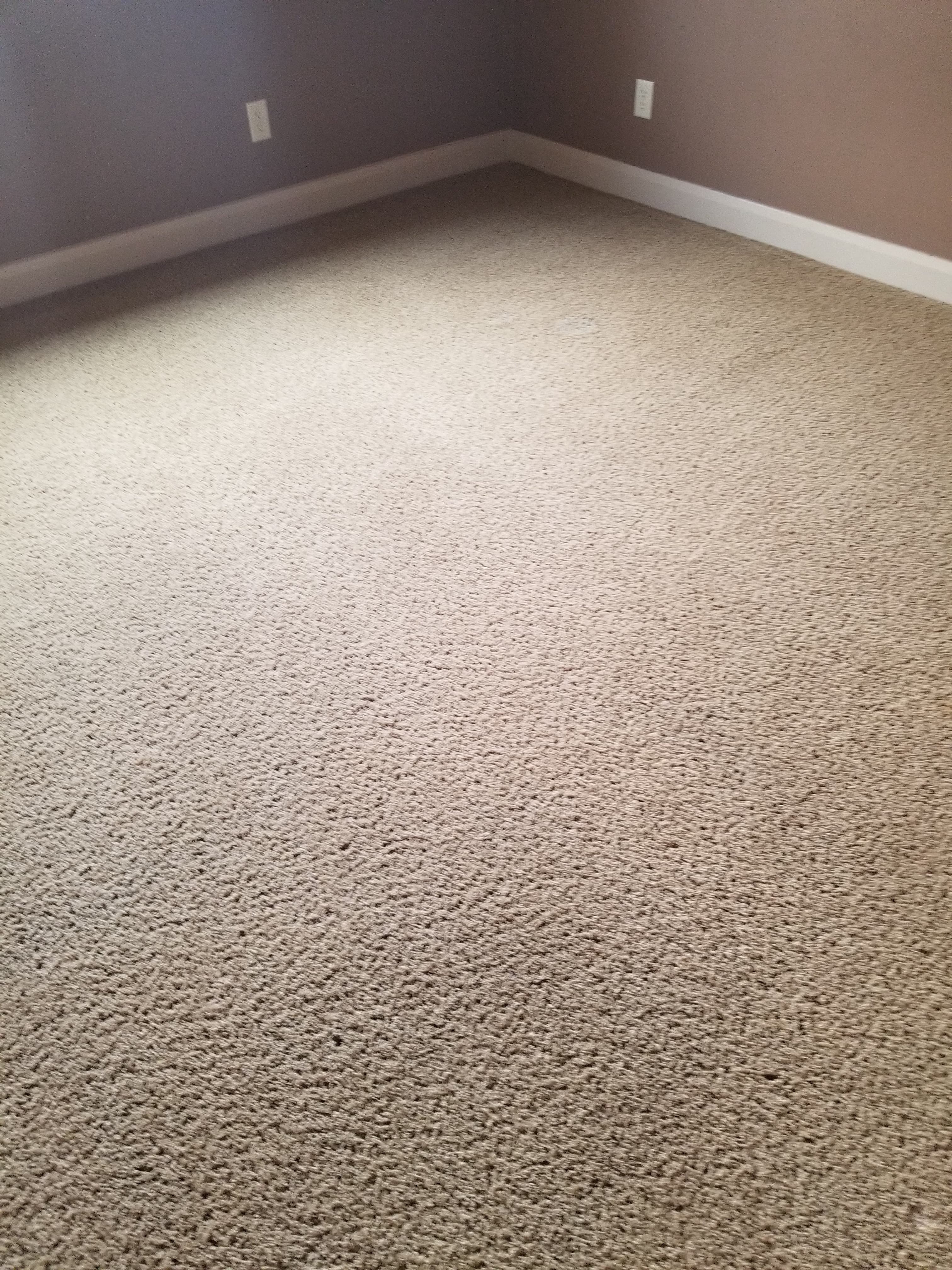 carpet cleaning before and after